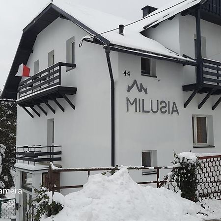 Hotel Milusia Muszyna Exteriér fotografie